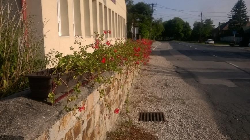 Mivel a feladat komplex, igen sokrétű és számos szereplő együttműködését követeli meg, javasolt a közparkok, közkertek megtervezését és kivitelezését szakemberekre bízni.