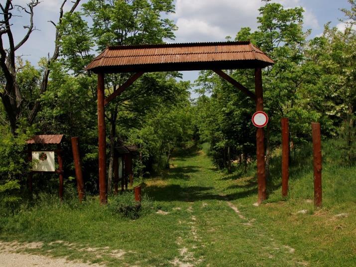 funkciók megléte; vízfelület megléte; néhány