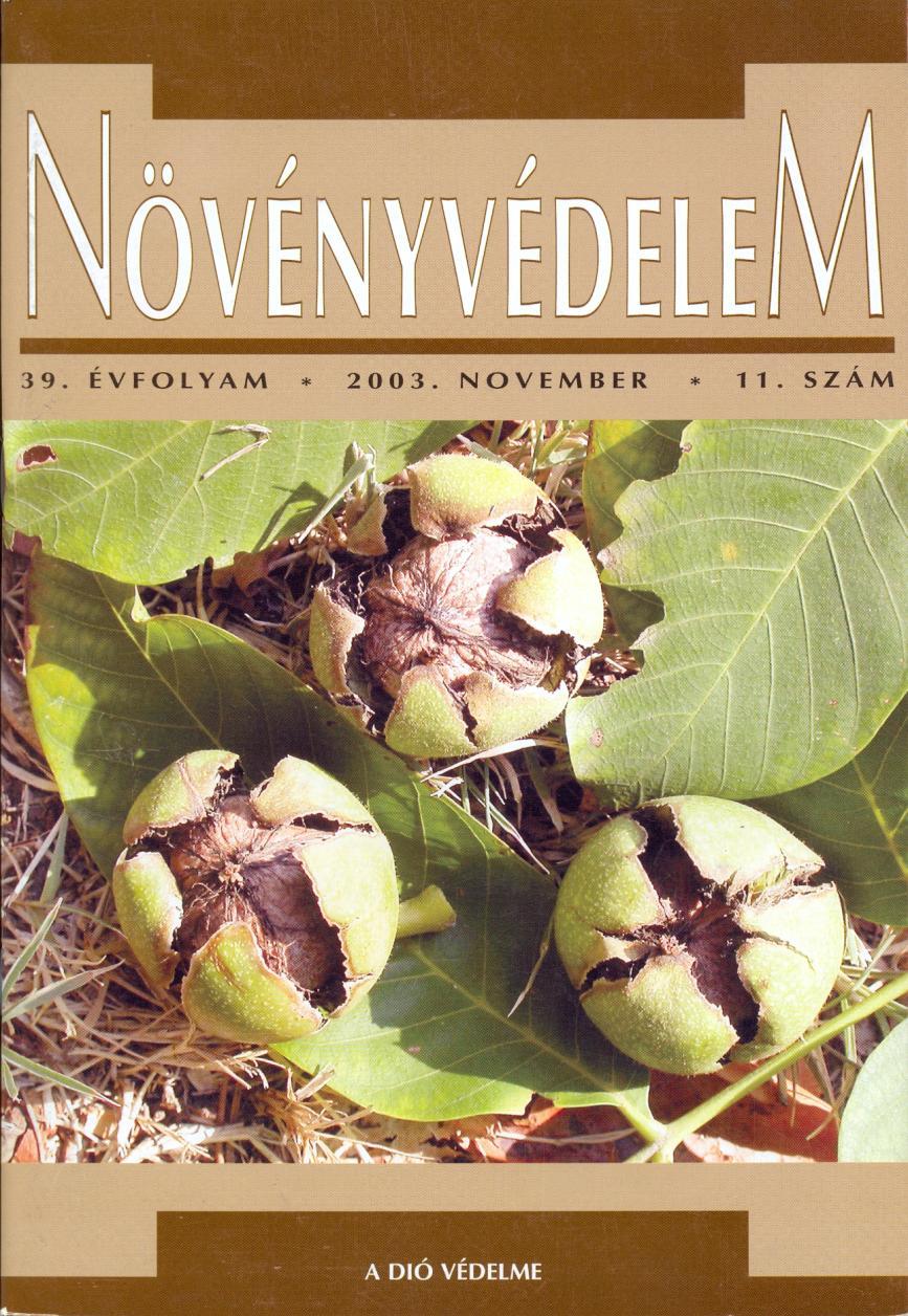 A hagyományt