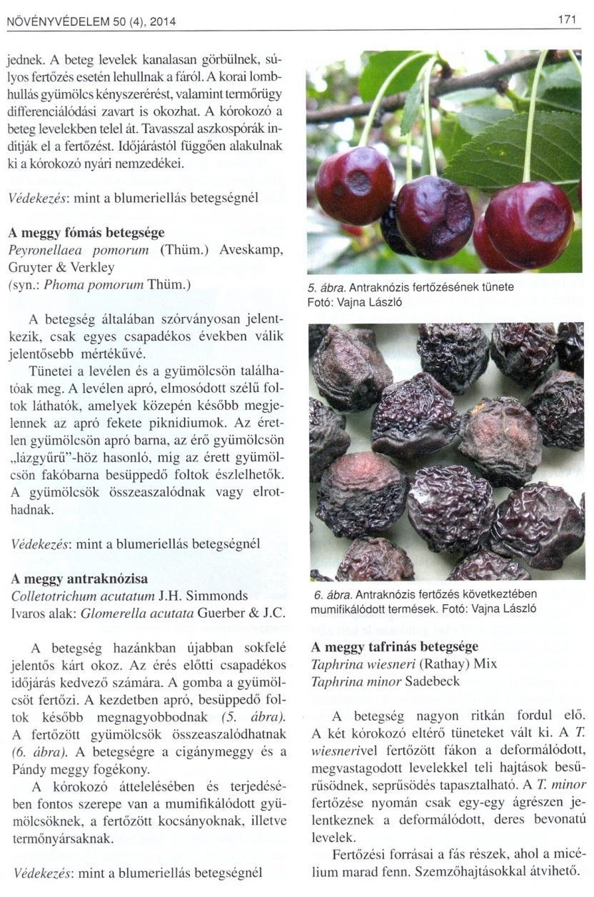 tömbben, majd a papír