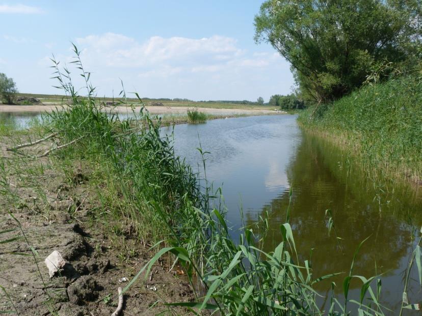 mögött Győrzámoly