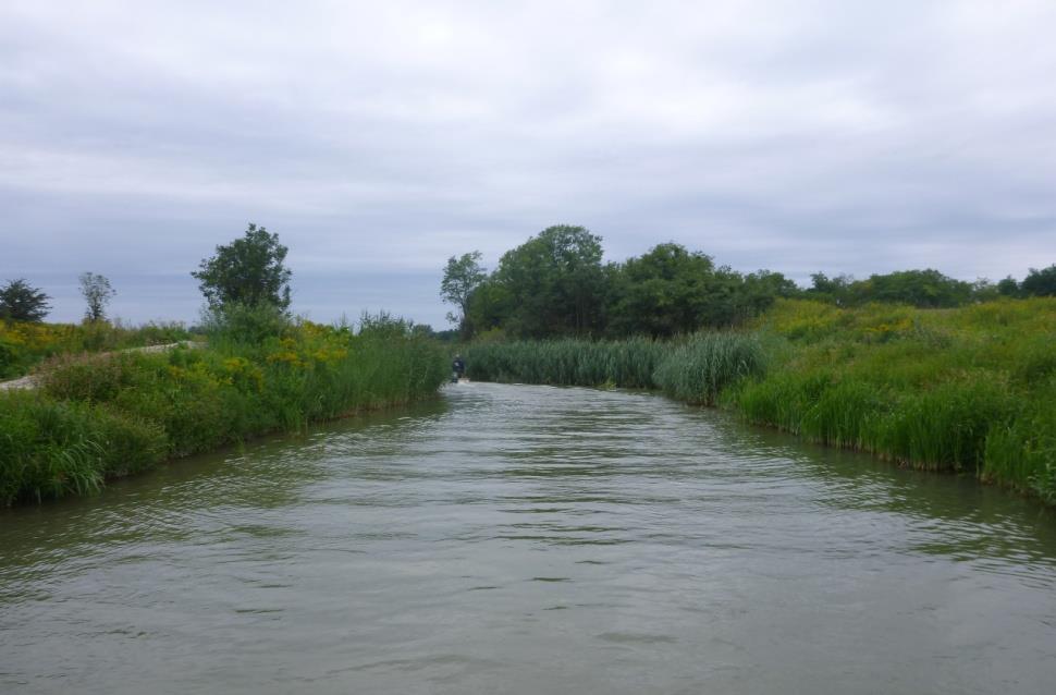 Vizes élőhelyek