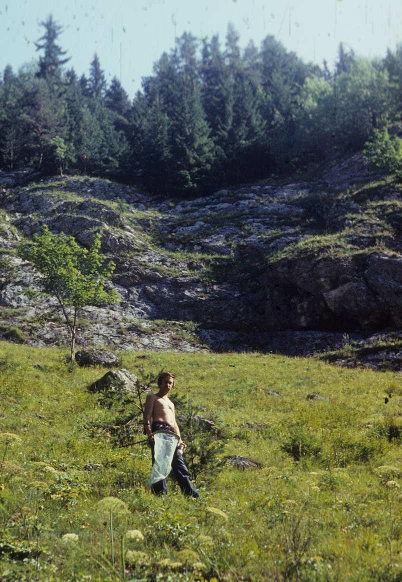 Az árvaszúnyogok családjába (Diptera, Chironomidae) tartozó fajt a Lukina Jama-Trojama barlangrendszerben fedezték fel norvég, német és horvát kutatók, körülbelül 980 méter mélyen, és a Troglocladius