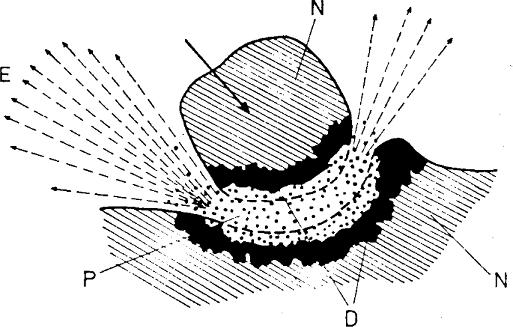 4. ábra Magma-plazma modell; E exoelektronok (kis energiájú részecskék), N deformálatlan szilárd fázis, D deformálódott felületi rétegek, P-plazma [46].