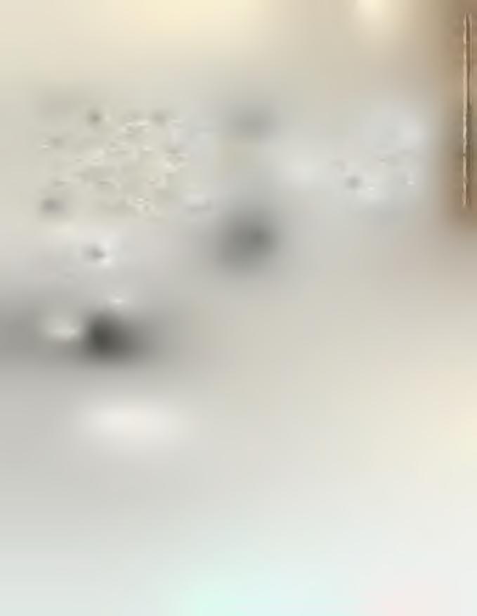 TV :, í J: ;> * 1;- *a Í : > :* >* - i ;>r, '*