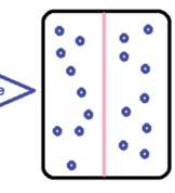 x 2 x i x ( n 1)± l ( n) = 1 x 2 i ( n 1)± 2lx i ( n 1)+ l 2 = x 2 i n 1 i=1 ( ) + l 2 ( ) = nl 2 A szétterjedés lépésenként l 2 -tel nő: x 2 n Mivel n az idővel