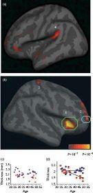 intelligenciával és az együttérzéssel (Lazar, 2005; Britta Hölzel, 2011) Boldogság, kedvesség, együttérzés: tudatos jelenléten alapuló együttérzést fejlesztő tréning hatására megnövekedett a jelen