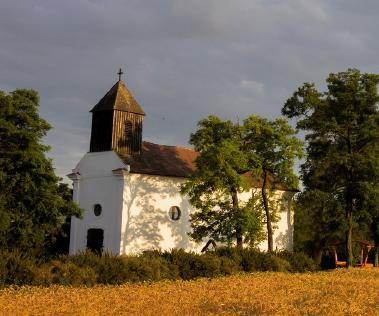Tolnai Máté apát (1500 1535) megteremtette a monostorok unióját (1512), majd a bencés monostorok kongregációját (1514). Ez lett kiinduló intézménye a mai Magyar Bencés Kongregációnak.