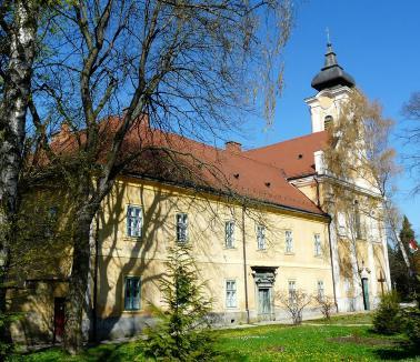 A külföldi rendtársakra római jóváhagyással a Supplementum Statutorum vonatkozott, ez a kiegészítés fogta össze életüket.