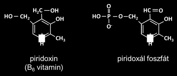 3. ábra. A piridoxin és a piridoxál foszfát kofaktor szerkezete. 1.2.