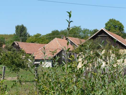 A település régi utca- és telekszerkezete, a pincesor beépítési struktúrája, az odalhatáron álló beépítési mód jellemzően megmaradt.