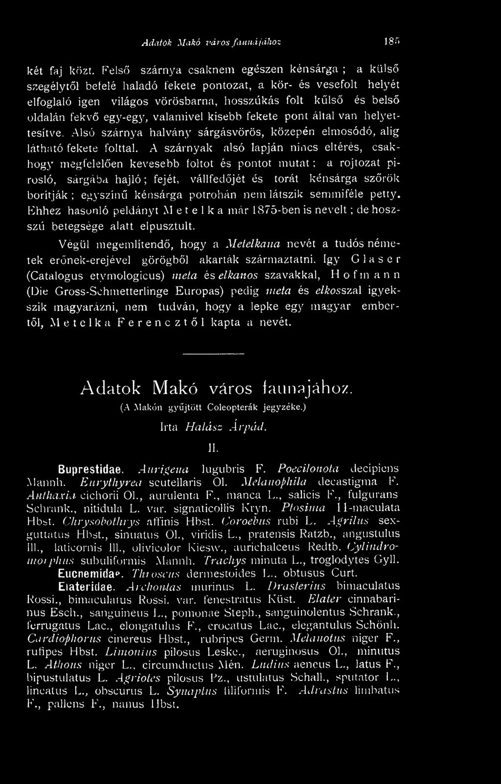 potrohán nem látszik semmiféle petty. Ehhez hasonló példányt M e t e 1 k a már 1 875-ben is nevelt ; de hoszszú betegsége alatt elpusztult.