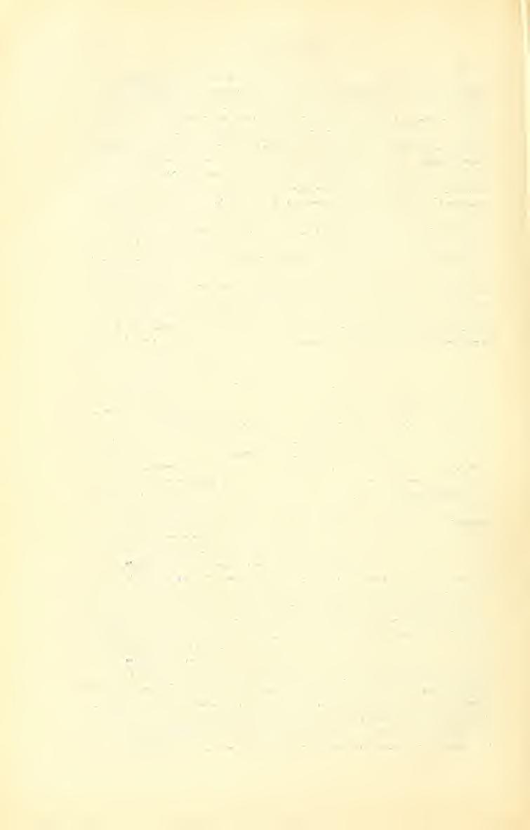 18K HaLis Irpád Dascillidae. Cyphon variábilis Thunb. Cantharidae. Lampyris noctiluca L. Caniharis Erichsoni Bacli:, fusca L., rustica F., obscura L.. pulicaria F., livida L., lulvicollis F.