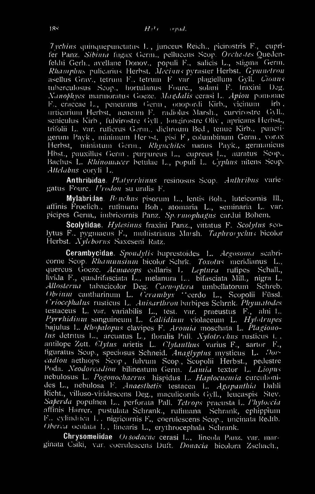 , punerigerum Payk, minimum Herbst, pisi I'", coiunibiniim Germ, vorax Herbst, miniatum Germ., Rhynchites nanus Payk., germanicus Hbst., pauxillus Germ,, purpurelis 1.., cupreus L., auratus Scop.