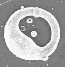 2, magassága 16 µm. (c) Az RBS gyűjtésből származó tomográfiai kép. (d) Az RBSsim szoftverrel szimulált tomográfiai kép. 4.