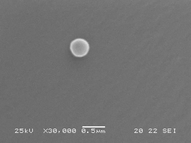 1. Monodiszperz N izopropil akrilamid latex előállítása ( BA Emulziós polimerizációs technikával különböző térhálósági fokú NIPA 13,63, 100, 200, 300 ) monodiszperz N izopropil akrilamid latexet