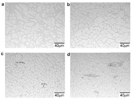 14. ábra Fénymikroszkóppal készült szövetszerkezeti kép a) SAC305, b) SAC105, c) SAC105Mn0,15 ás d) SAC105Mn0,5 ötvözet esetében [28] Jenn-Ming Song és társai kísérleteiből kiderül, hogy a mangán