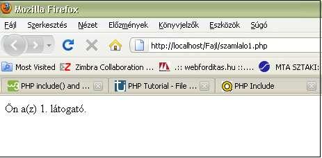 Oldaltalálatokat számláló program 8 Ha