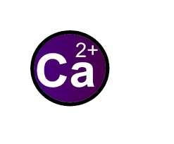CO 2 SO 4