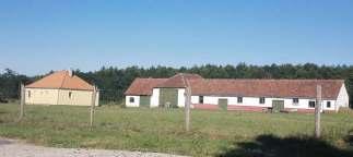 Eltérő