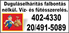 70-518-0720 Középkorú fiatalos igényes hölgy családi házaknál,