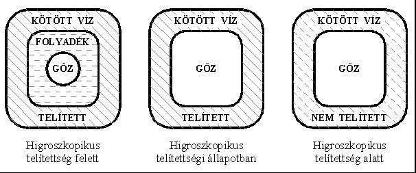 3. Fa-víz kapcsolat: Természetes rost