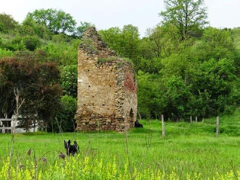 A Geresdi-dombság a Natura 2000-es hálózat része.