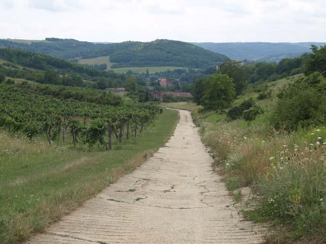 A domborzati viszonyok miatt lehet változatos a