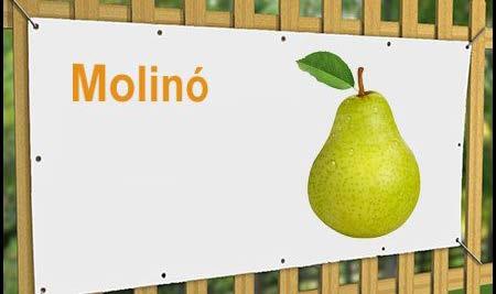 molinók kerülendők.