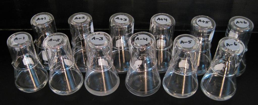 1. ÁBRA EVOLÚCIÓ A LABORBAN Kevéssé ismert tény, hogy az evolúció folyamatát közvetlenül, laboratóriumi körülmények között is megvizsgálhatjuk.