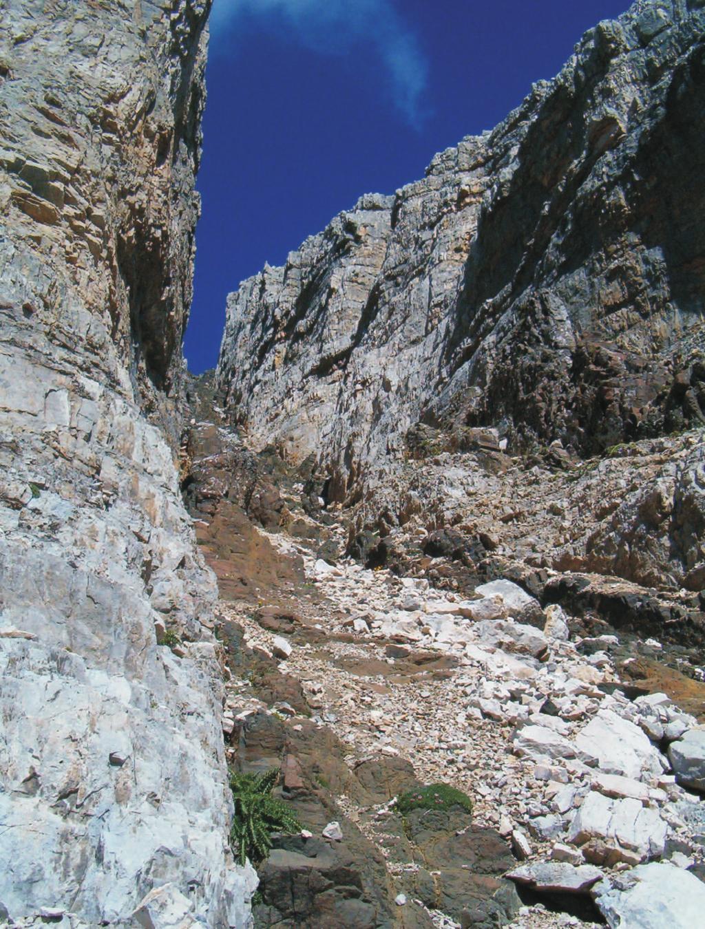 Középső-triász platformkarbonátok és vulkanitok vizsgálata a Latemar környékén (Dolomitok, Olaszország) valamilyen formában robbanásos vulkáni kitörésekhez kapcsolható, a kitörési központokról