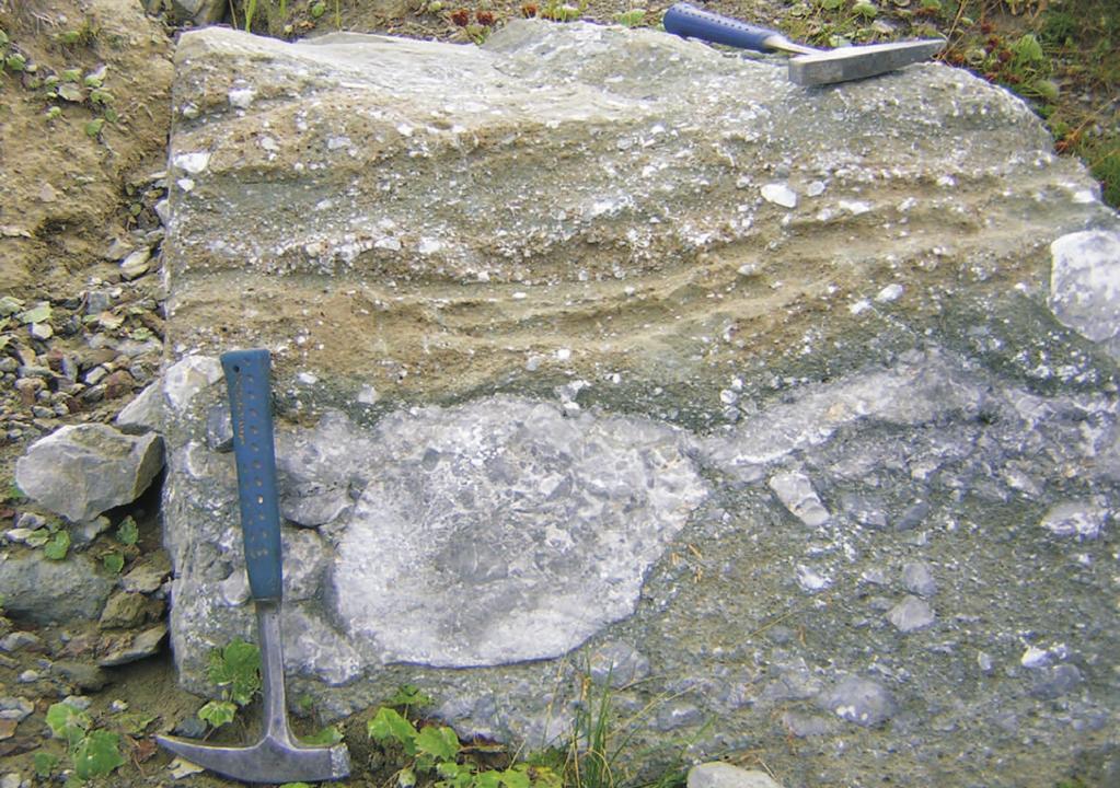 eldöntésére (OBENHOLZNER 1991a). A Dos Capel proximális vulkanoklasztit-rétegei A Dos Capel tanösvényének legfelső szintjén, közel vízszintes településsel tárul fel egy kb.