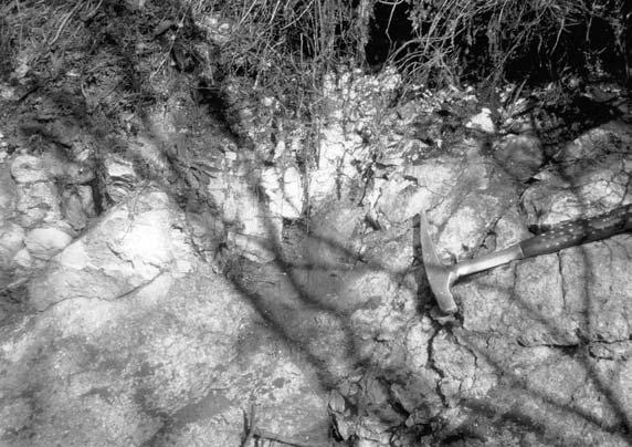 Columnar section of the outcrops in the Tar Csevicés valley. (compiled: T. ZELENKA 2002) 5. fotó.