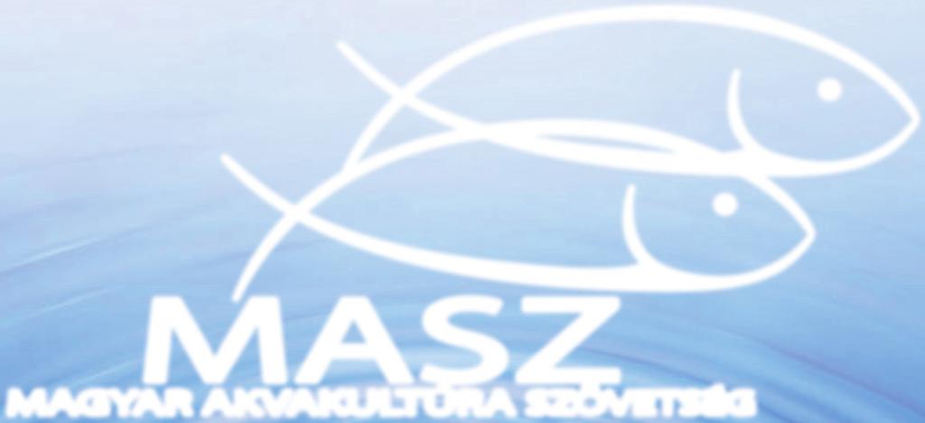 szám 2013 tavasz Alapítva:
