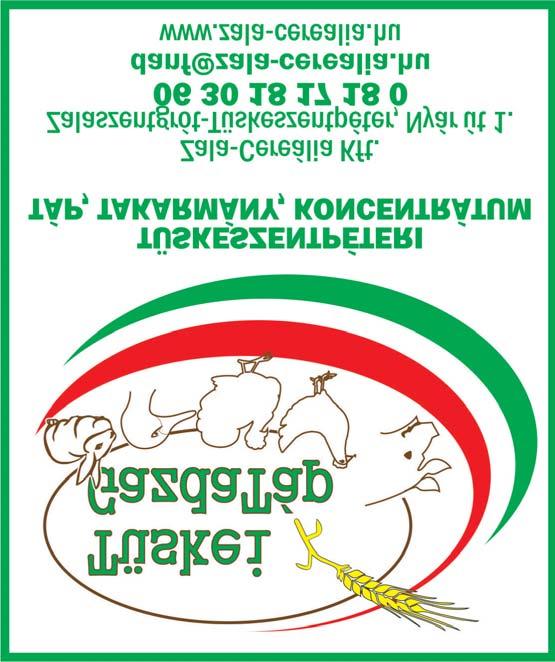 Kitért arra, hogy mennyire fontos jelentősége van a törődésnek, főként az idősebb generációra nézve.
