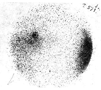üstökösök Heidelberg-Königstuhl Obszervatóriumban 246 új kisbolygót (néhányat egy-egy társ észlelővel), 2 üstököst, 4 szupernóvát és számtalan változócsillagot talált, valamint felfedezte a Naphoz