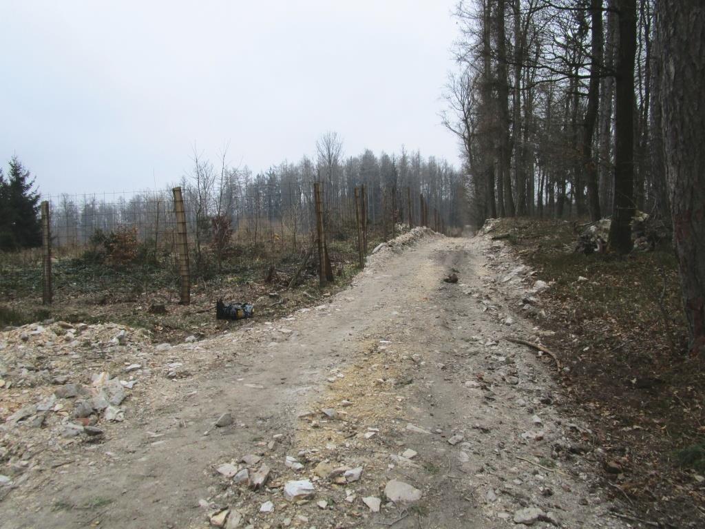 519159 A seprőkötő-hegyi törmelékfeltárás, ahonnan a minták származnak, a Mucktól az Ultrahegy felé vezető gerincen mélyített földút mentén található (9. ábra).