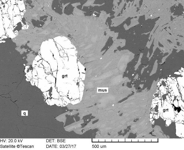 Megjelenik továbbá a szemcsék között a vékony rozsdás erek kísérőjeként, itt általában 100-150 µm hosszú, az ér lefutásával megegyező orientációjú tűk, lécek formájában jelentkezik.