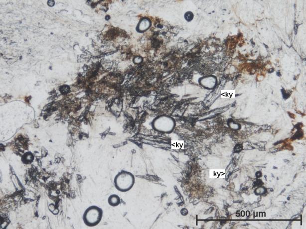 Nem csak a finomszemcsés halmazban, hanem a lazulittal összekapcsolódó szemcséket alkotva 200-500 µm-es florencit is megjelenik (ld. 37. ábra/b).