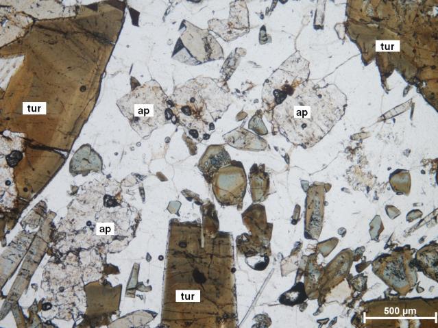 Az apatit néhol azonban finomszemcsés, maradékkitöltő alapanyagként van jelen, melyben 1-300 µm-es sajátalakú zónás turmalinok úsznak, melyben továbbá
