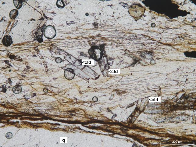 A kvarc mindig hullámos kioltású, alszemcsés, a szemcsék mérete néhány 10- néhány 100 µm között változik.
