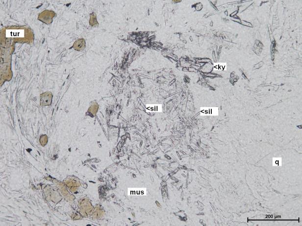 leuchtenbergit változatnak felel meg. A fehér csillám általában nagyobb, 50-400 µm alatti tűs, léces, lemezes unduláló, parkettaszerű kioltású.