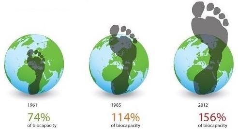 lábnyom: 1961: 7,6 milliárd gha; 2010: 18,1 milliárd gha