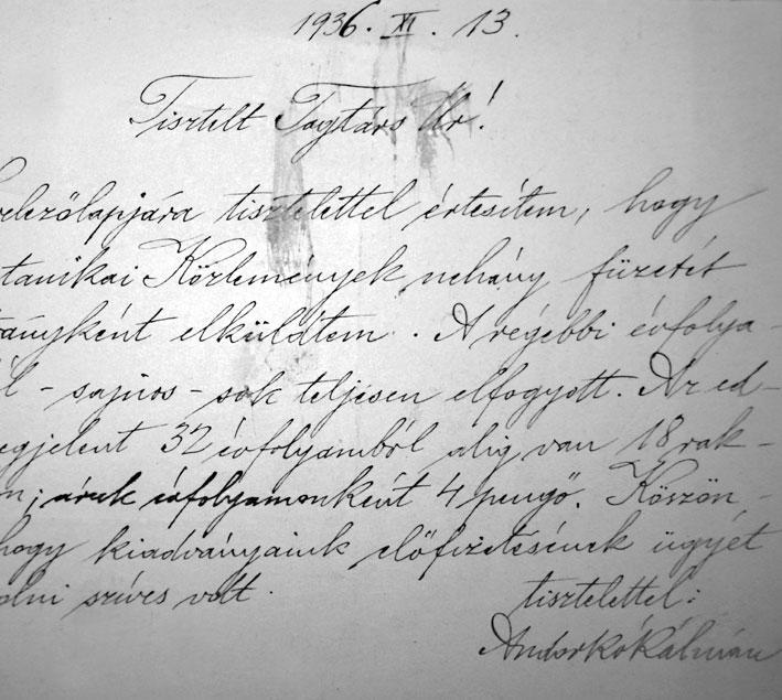 ADALÉKOKAAROSVÁSÁRHLYIRFORÁTUSKOLLÉGIUTRÉSZTRAJZIKATDRÁJÁNAKTÖRTÉNTÉHZ A RFORÁTUS KOLLÉGIU TÖRTÉNTÉHZ tendenciáktól elvakult soviniszták. Vederemo!