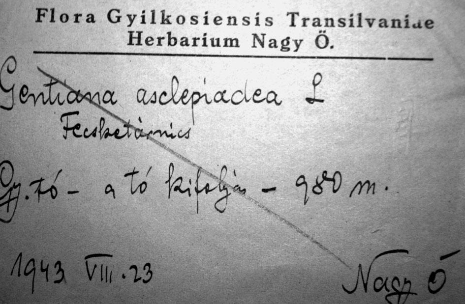KISS SZÉKLY ZOLTÁN Jegyzet. Flora Gyilkosensis lötte kialakított gyümölcsösök kultúrtájjá süllyesztették a város környékének egyetlen háborítatlan határterületét.