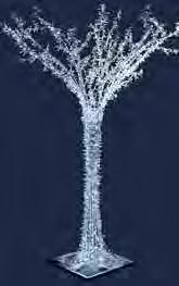 GX036-R ARBRE GÉANT AQUÉ NOR