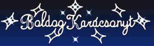 BODOG KARÁCSONYT 0,65 m 5,00