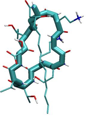 nem tapasztalható, azonban hidrofób közegben az alkil lánc OH csoportja a Dab4 (2,4- diaminobutánsav) amino csoportjával hidrogén kötést hoz létre, stabilizálva a molekulát.