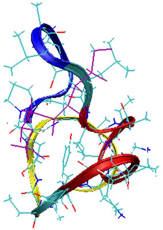 A SP-25A-hidrofil és SP-25A-hidrofób rendszereken végzett szimuláció eredményei Az SP-25A molekulát a nonapeptidekhez hasonlóan hidrofil és hidrofó közegben szimuláltuk Az SP-25A molekula 25