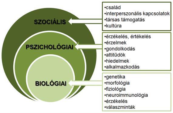 A szerhasználó nők jellemző nehézségei Szociális körülmények - nagy mértékű stigmatizáció; - kiközösítettség élménye családjukban, szűkebb közösségükben; - erőszakos partner vagy családtag; -